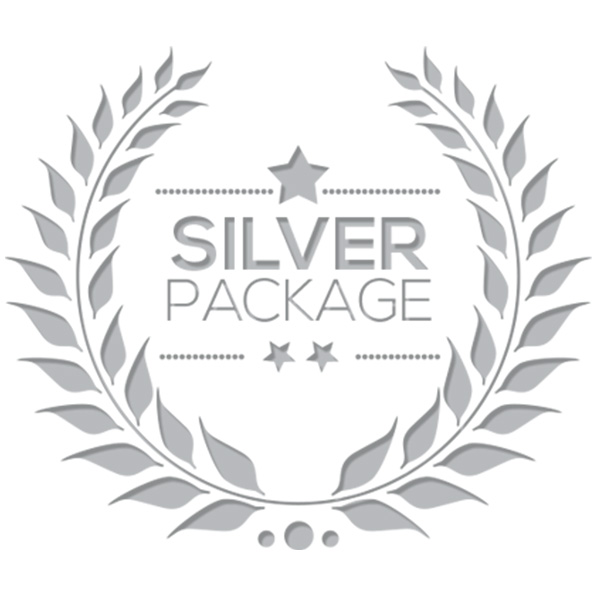 Silver Advertising Package